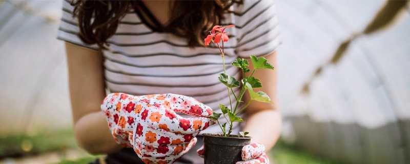 Browse Product Catalog